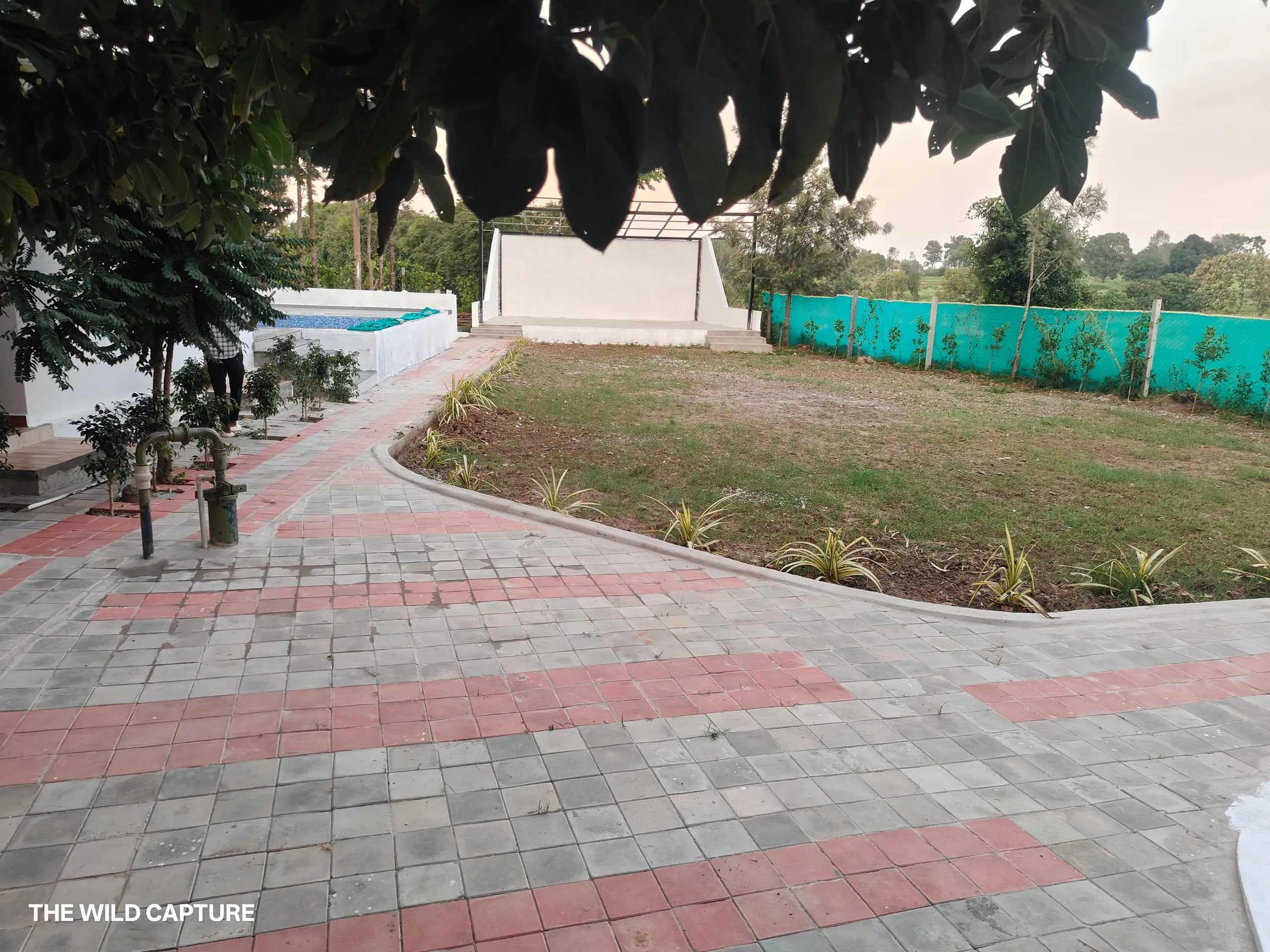 Paved pathway past the lawn to the open-air stage